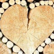 Holz als ideales Heizgut